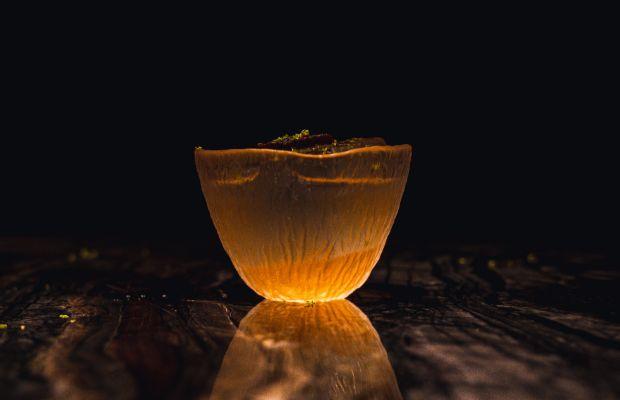 The Savory Project